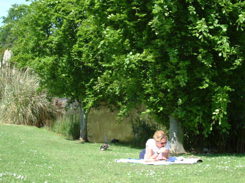 University Of Exeter - Pennsylvania Court Esterno foto