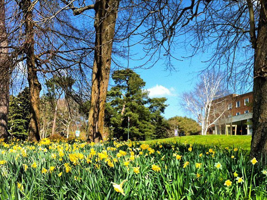 University Of Exeter - Pennsylvania Court Esterno foto