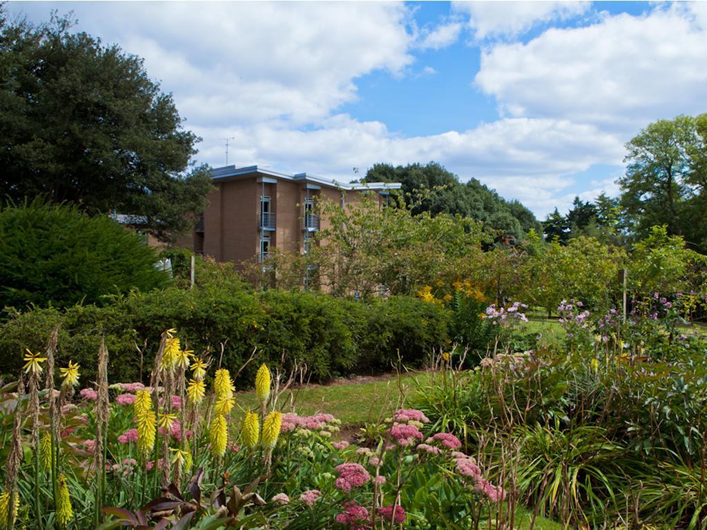 University Of Exeter - Pennsylvania Court Esterno foto